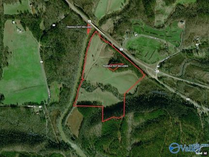 Undeveloped Land for sale in Cleburne County, Alabama