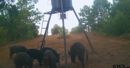 Farm and Ranch for sale in Cass County, Texas