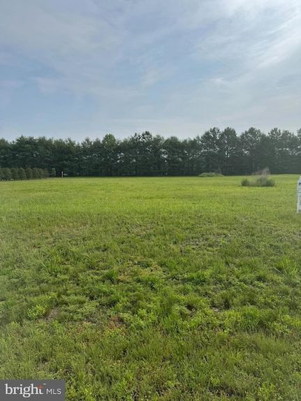 Farm and Ranch for sale in Sussex County, Delaware