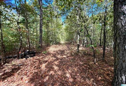 Timberland Property for sale in Talladega County, Alabama