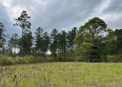 Undeveloped Land for sale in Covington County, Alabama