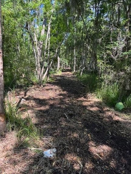 Land for sale in Saint Tammany Parish, Louisiana