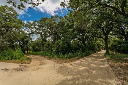 Undeveloped Land for sale in Milam County, Texas