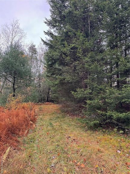 Farm and Ranch for sale in Sullivan County, New York