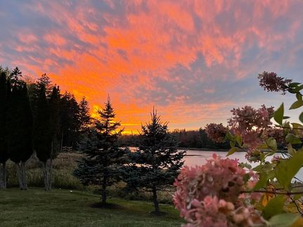 Land for sale in Knox County, Maine