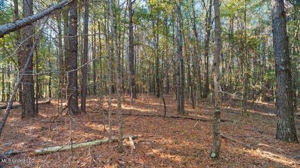 Farm and Ranch for sale in Scott County, Mississippi