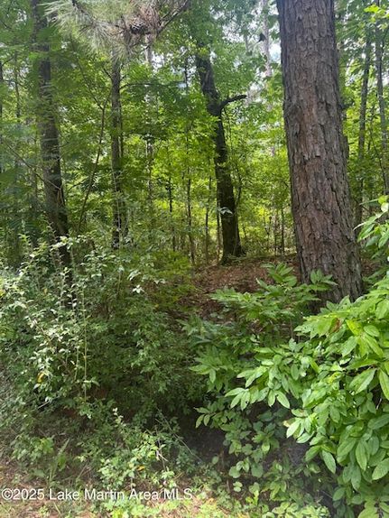 Undeveloped Land for sale in Tallapoosa County, Alabama
