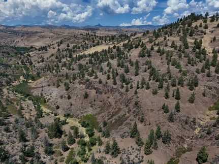 Timberland Property for sale in Siskiyou County, California