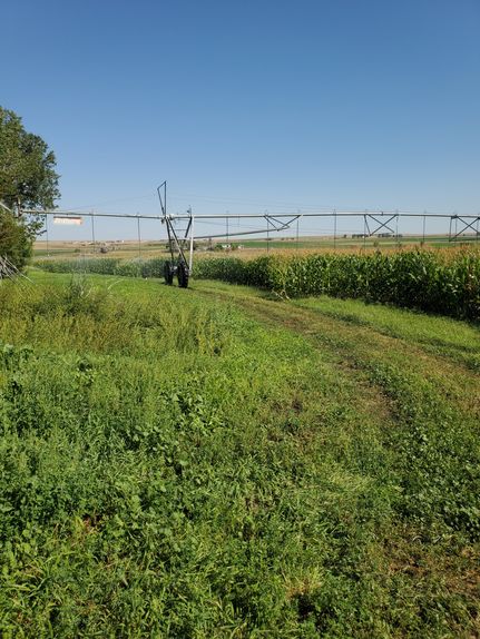 Land for sale in Goshen County, Wyoming