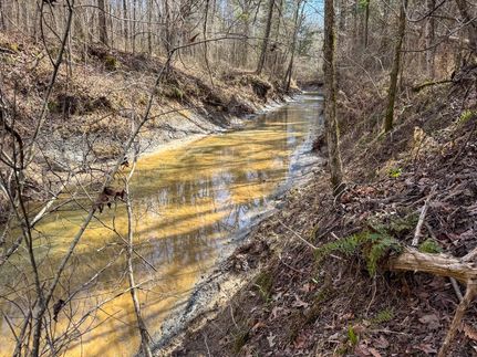 Recreational Property for sale in Clay County, Mississippi