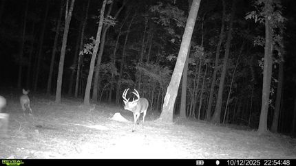 Recreational Property for sale in Cross County, Arkansas