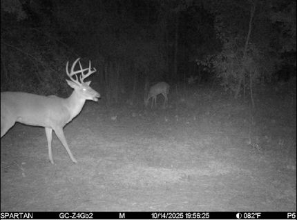 Timberland Property for sale in Madison County, Florida