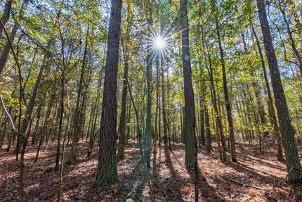 Land for sale in Oglethorpe County, Georgia