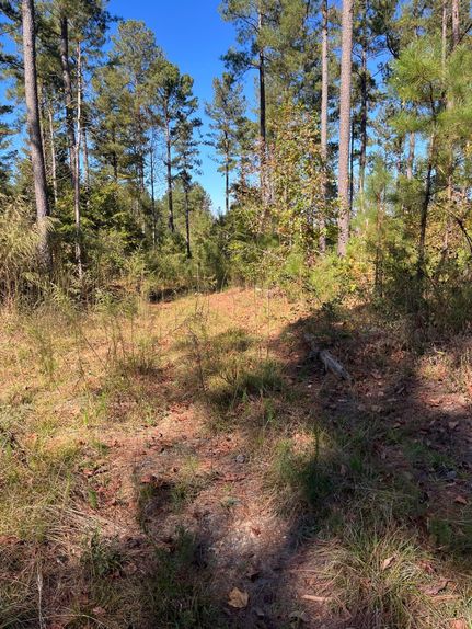 Land for sale in Cherokee County, South Carolina