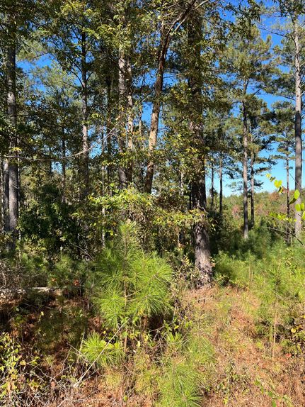 Farm and Ranch for sale in Cherokee County, South Carolina