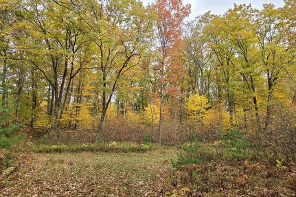 Hunting Property for sale in Marinette County, Wisconsin