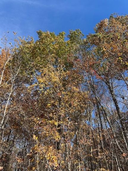 Land for sale in Fentress County, Tennessee