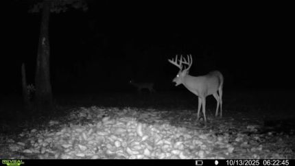 Commercial Property for sale in Pender County, North Carolina