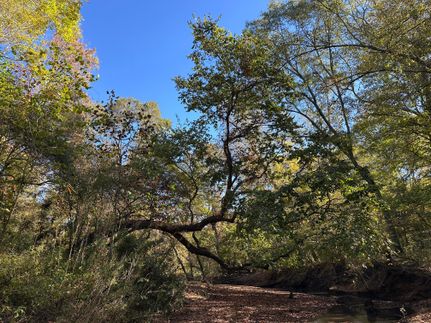 Farm and Ranch for sale in Fairfield County, South Carolina