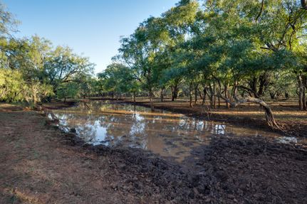 Land for sale in Fisher County, Texas