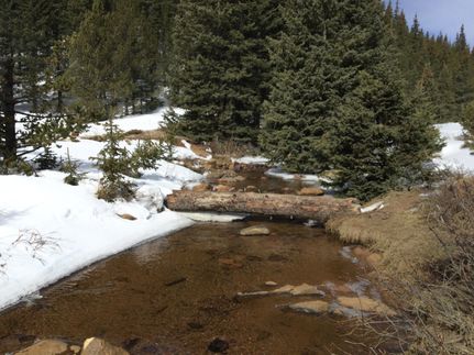 Farm and Ranch for sale in Teller County, Colorado
