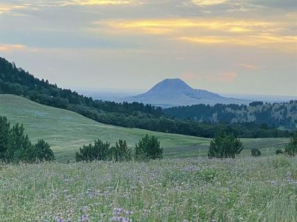 Timberland Property for sale in Lawrence County, South Dakota