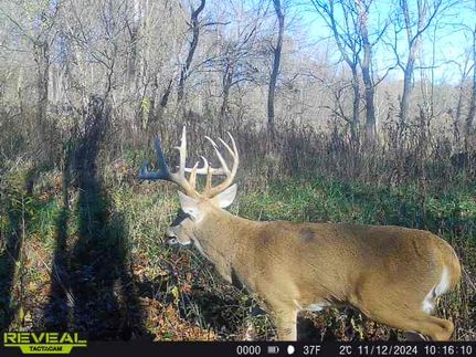 Farm and Ranch for sale in Effingham County, Illinois