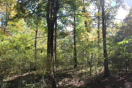 Land for sale in Marshall County, Mississippi