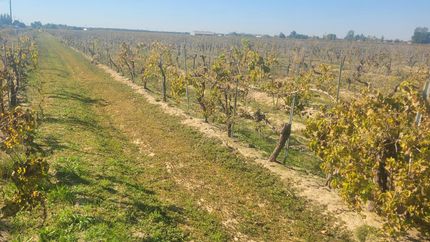 Land for sale in Fresno County, California