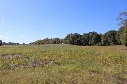 Undeveloped Land for sale in DeSoto County, Mississippi