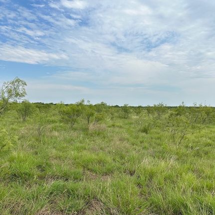 Land for sale in Callahan County, Texas
