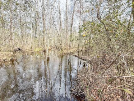 Timberland Property for sale in Holmes County, Florida