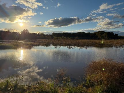 Recreational Property for sale in Barbour County, Alabama