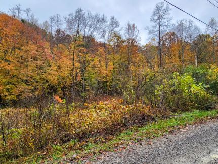 Recreational Property for sale in Campbell County, Tennessee