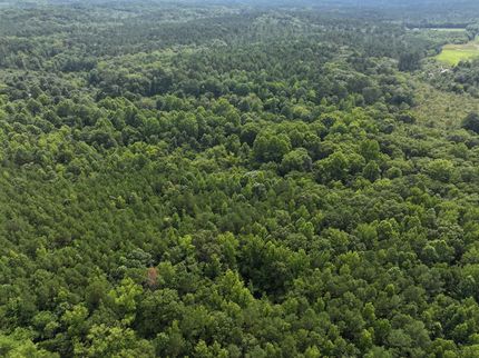 Land for sale in Oktibbeha County, Mississippi