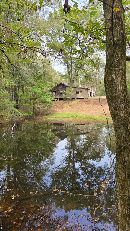 Timberland Property for sale in Holmes County, Mississippi