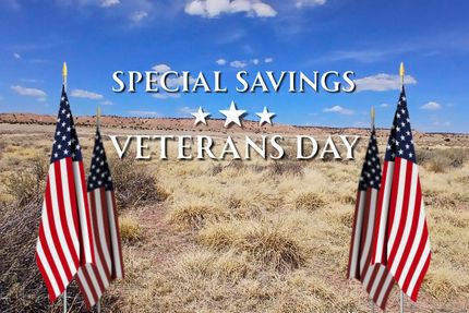 Undeveloped Land for sale in Apache County, Arizona