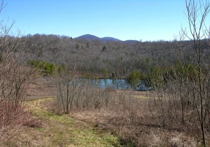 Land for sale in Morgan County, Tennessee