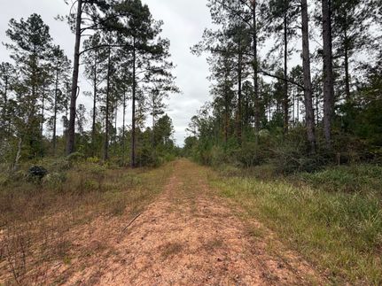 Recreational Property for sale in Escambia County, Alabama