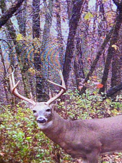 Recreational Property in Ralls County, Missouri