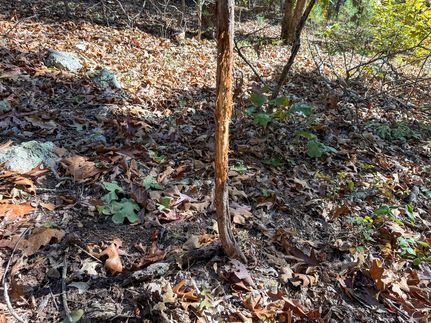 Recreational Property for sale in Washington County, Missouri