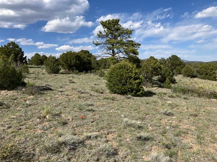 Land for sale in Custer County, Colorado