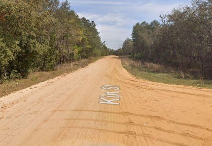 Undeveloped Land for sale in Putnam County, Florida