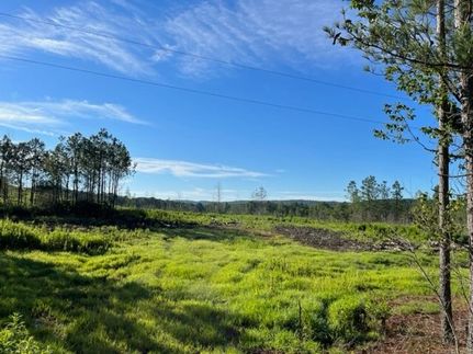 Land for sale in Polk County, Georgia