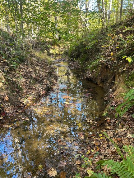 Farm and Ranch for sale in Union County, South Carolina