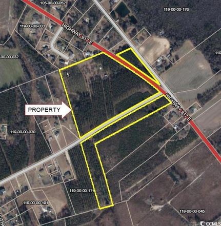 Land for sale in Dillon County, South Carolina