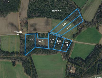 Undeveloped Land for sale in Horry County, South Carolina