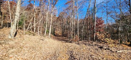 Land for sale in Franklin County, Virginia