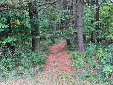 Land for sale in Saint Lawrence County, New York