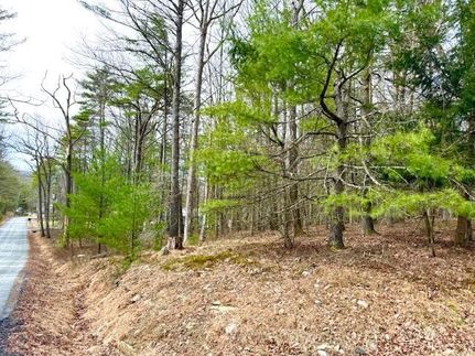 Land for sale in Sullivan County, New York